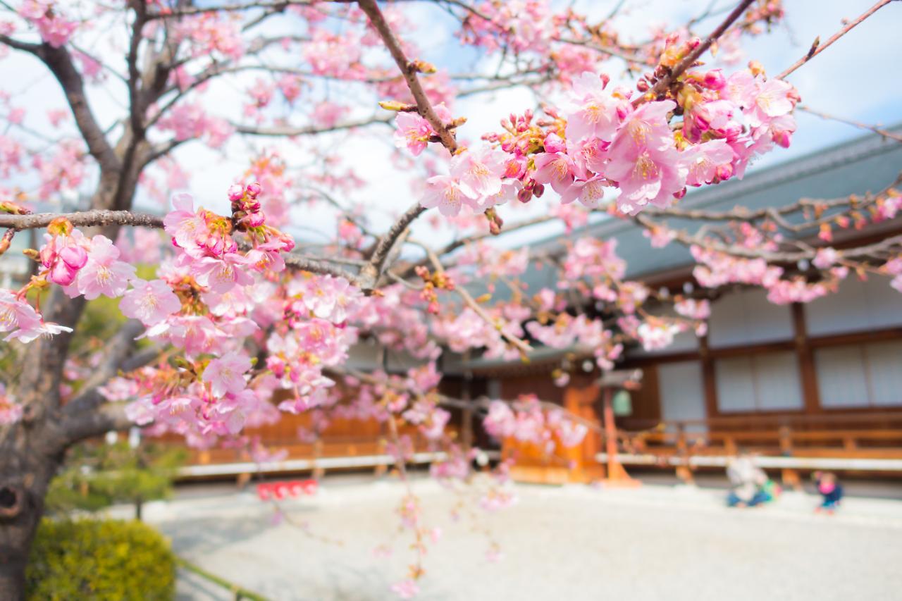 Stay Sakura Kyoto Shijo Karasuma Esterno foto