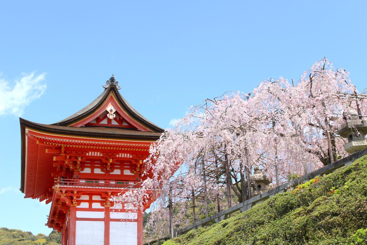 Stay Sakura Kyoto Shijo Karasuma Esterno foto